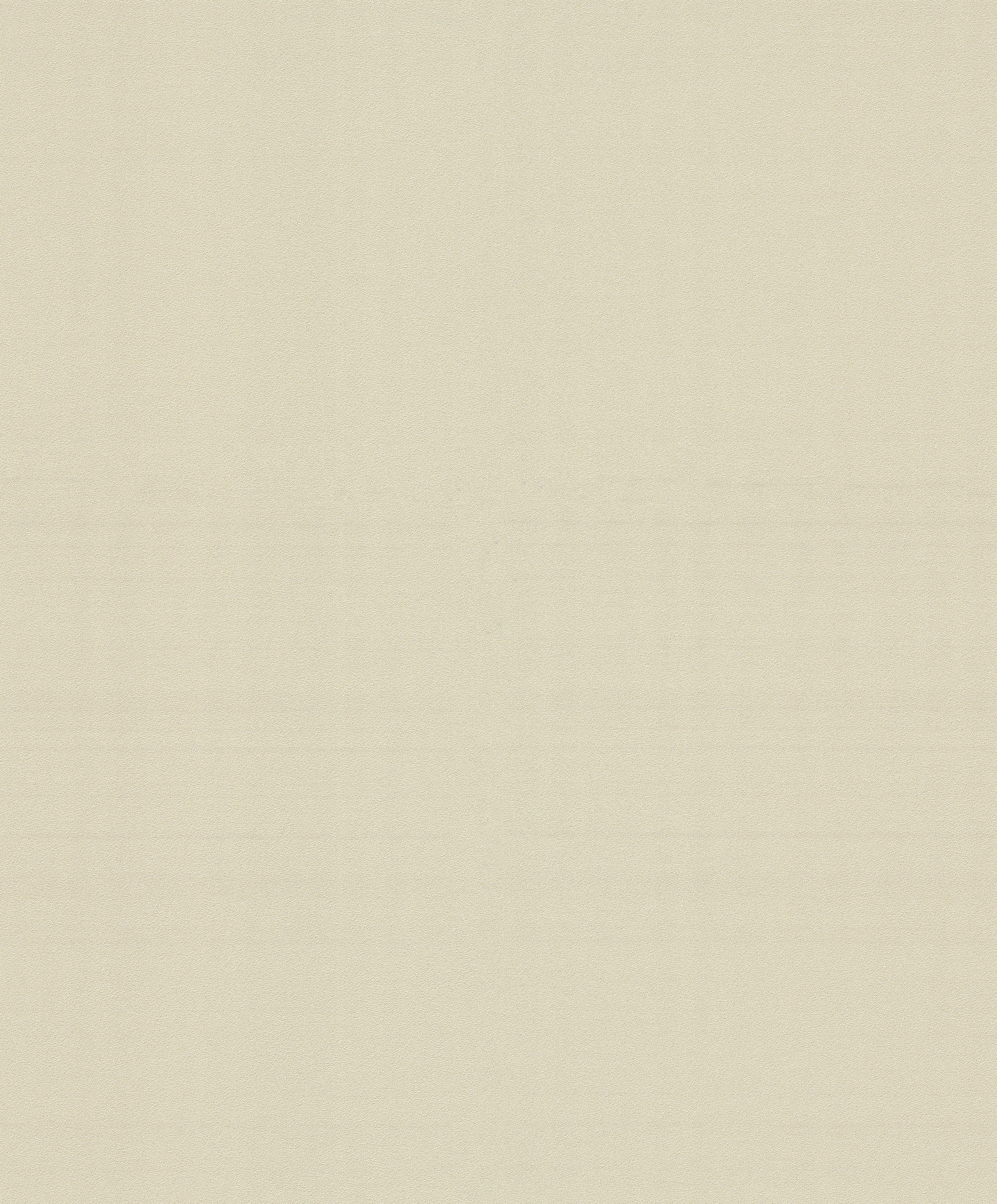 Solid Shade - Ivory