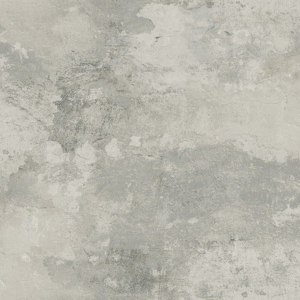 Fine Antique - Snow