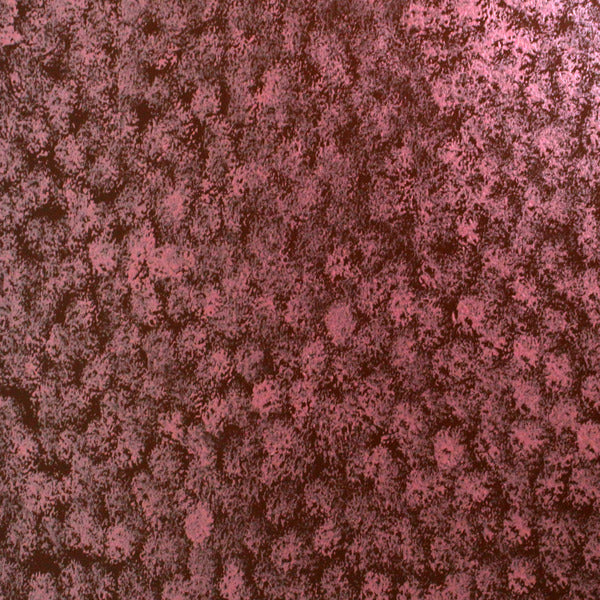 coral Reef