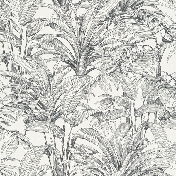 Soothing Leaves - Pencil