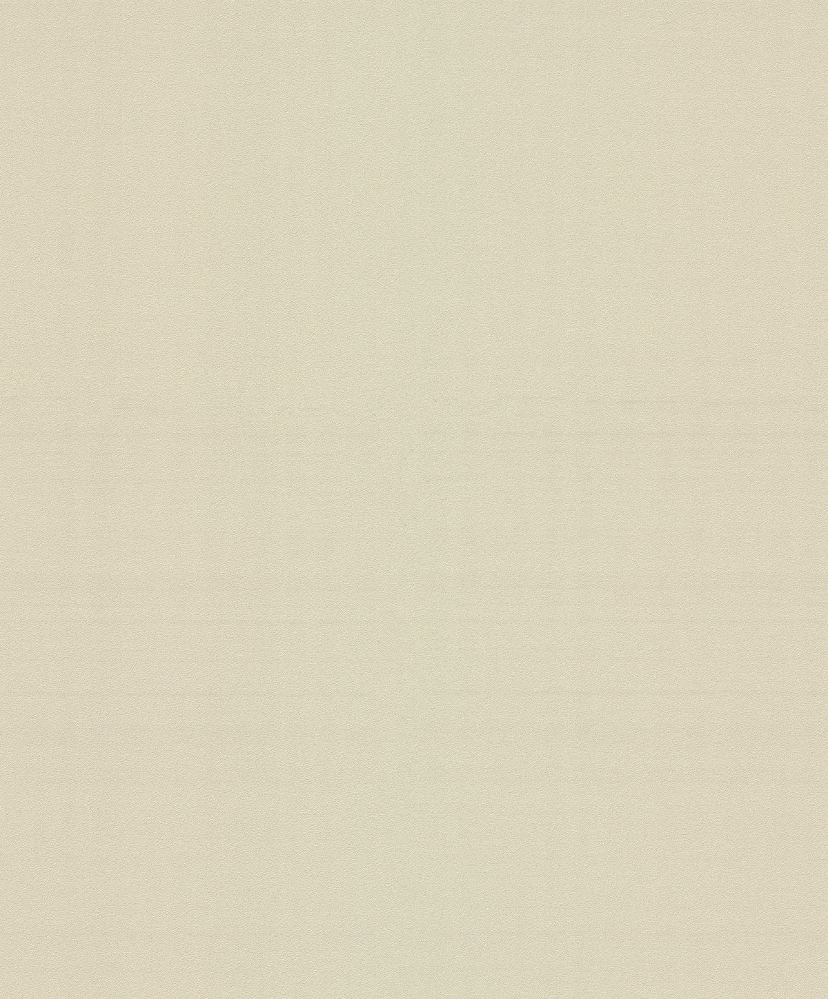 Solid Shade - Ivory